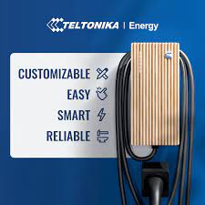 Teltonika EV Charger - Telto Charge Oak Wood